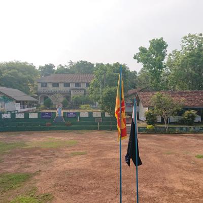 Dsc 0805